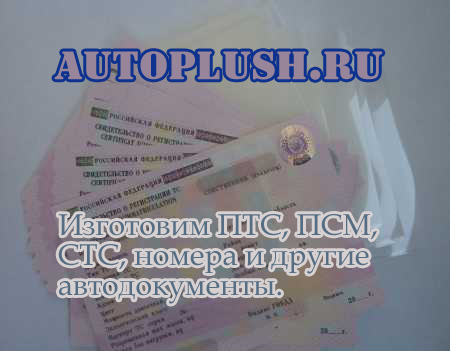 Делаем ровные документы на передвижение - ПТС, СОР, ГРЗ, ОСАГО, ПСМ.
