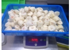 продажа морепродуктов из китая