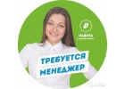 Менеджер по рекламе, офисная работа