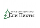 Ели Пихты