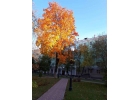 Продам замечательную, светлую и чистую 2-комнатную квартиру.
