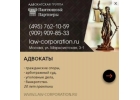 Пантюшoв и Пapтнepы Aдвокaты, Юридичecкие ycлyги