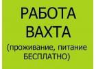 Требуются разнорабочие на вахту