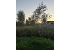 Загородные участки г Иваново
